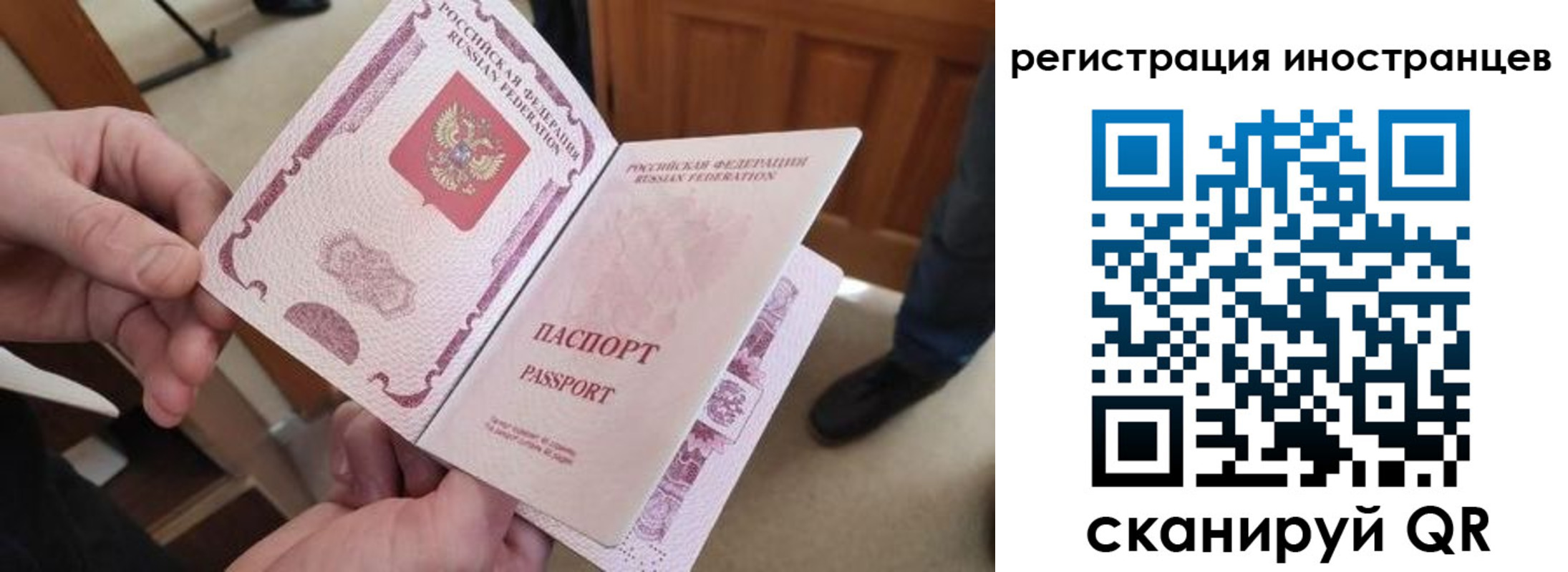 прописка ребенка в Суворове